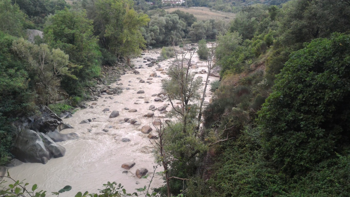 P_20160807_193142 .jpg